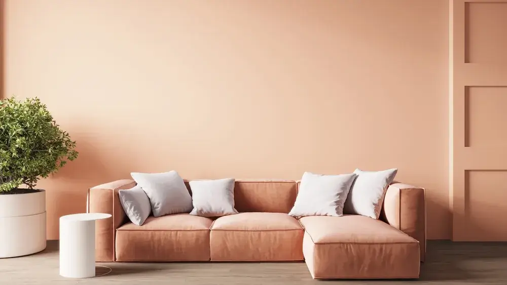 Immagine di Peach Fuzz