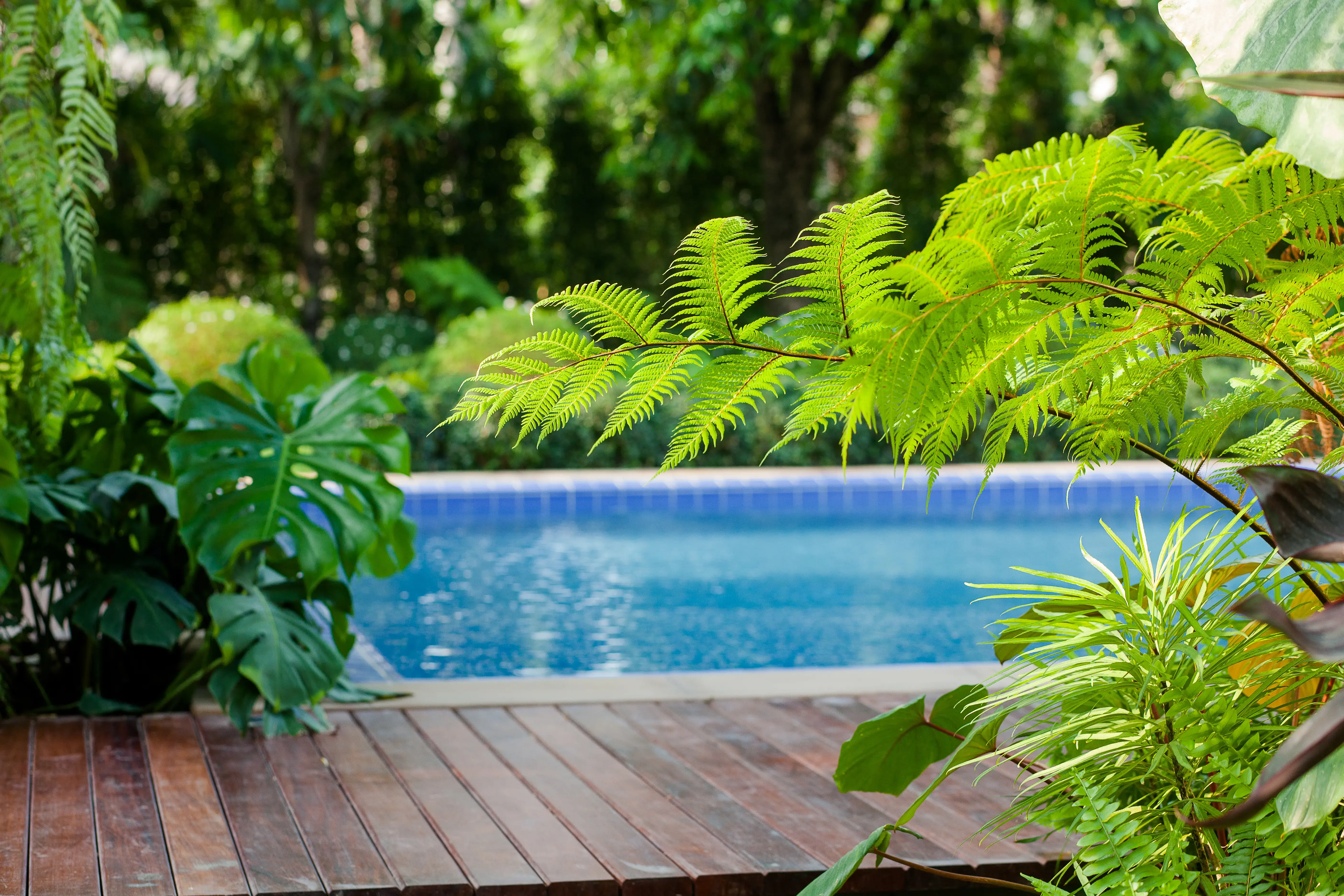 Immagine di piscine outdoor
