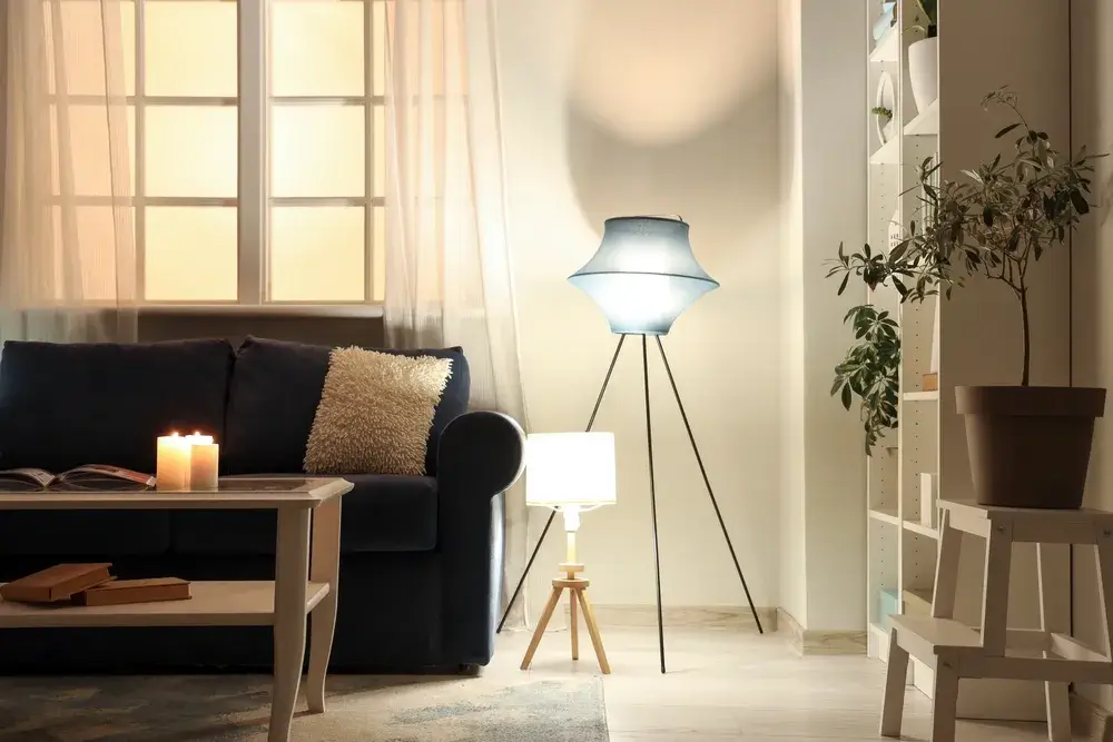 Immagine di piantane casa